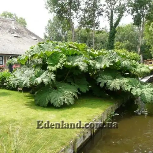 Изображение у воды