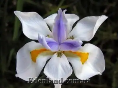 Новое поступление продукции. Октябрь 2018