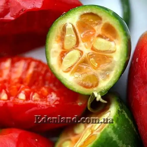 Изображение спелые плоды