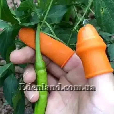 Изображение Секатор на большой палец