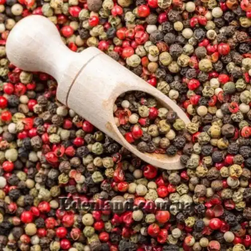Зображення Перець чорний - Piper nigrum 