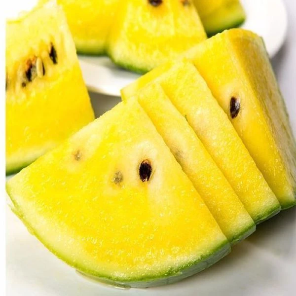 Изображение Арбуз Янусик